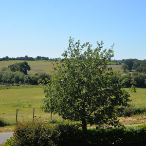 Un environnement naturel unique