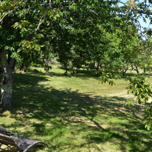 Détente au jardin dans les transats