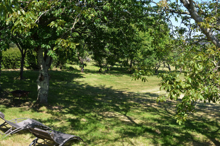 Détente au jardin dans les transats