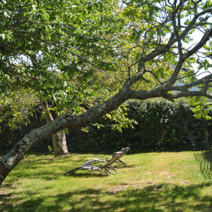 Terrasse et grand jardin