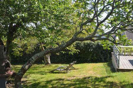 Terrasse et grand jardin