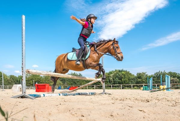 Cours et stages d'équitation au centre équestre Mané Guernehué