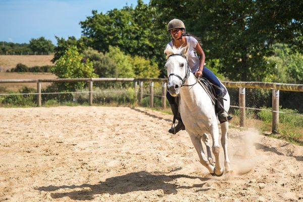 Cours et stages d'équitation au centre équestre Mané Guernehué