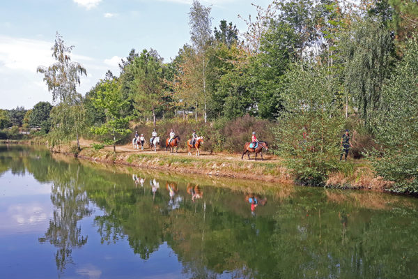 Balade encadrée dans la campagne du Golfe du Morbihan