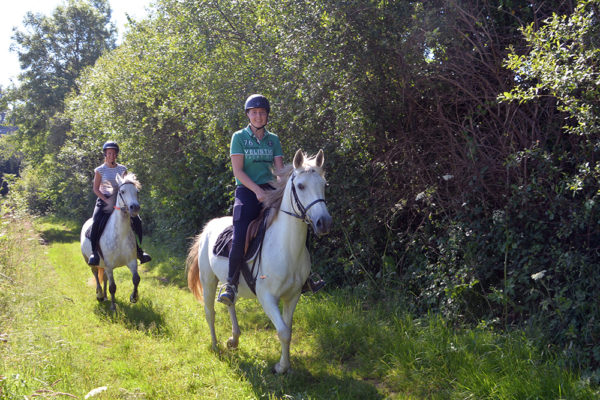 Balade encadrée dans la campagne du Golfe du Morbihan