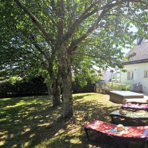 A l'ombre des arbres fruitiers